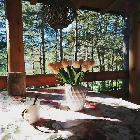 Tatjana-zlatibor Hytte Užice