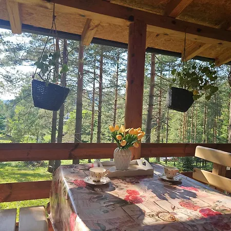 Tatjana-zlatibor Užice